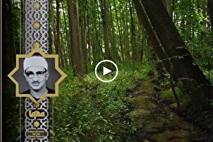 Minshawi recita versos de Surah Al-Hashr