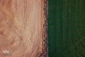 خشکسالی بحرانی که ساده می‌بینیم