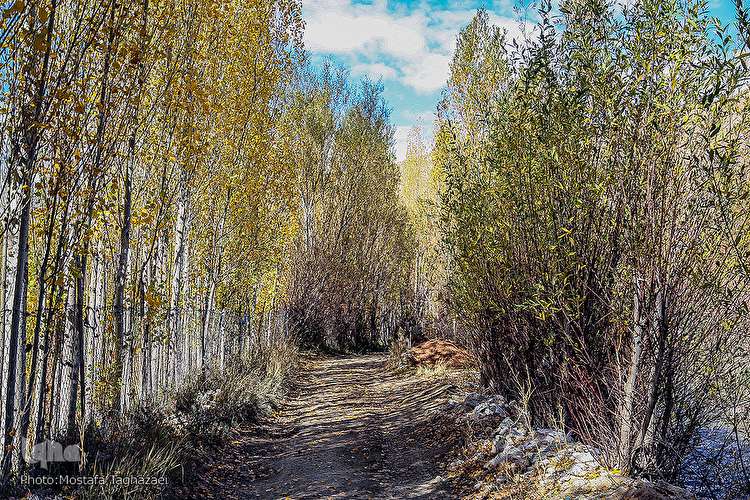 پاییزِ عاشق