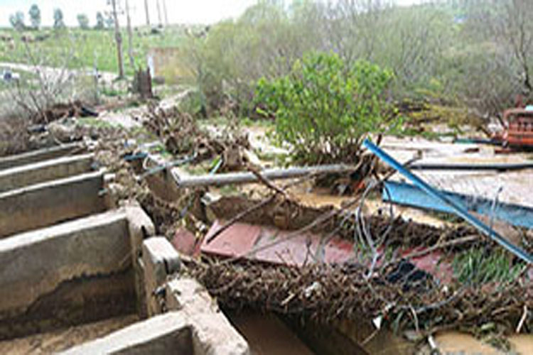 خسارت سیل به 412 مزرعه پرورش ماهی در لرستان