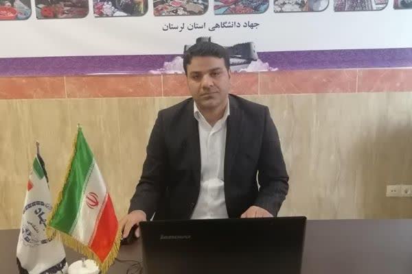 ارسالی// ثبت&zwnj;نام ۱۴۸۳ متقاضی در طرح توسعه مشاغل خانگی لرستان