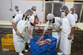 توزیع نذورات حسینیه اعظم زنجان