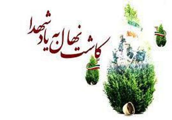 طرح کاشت نهال به یاد شهید فخری&zwnj;زاده