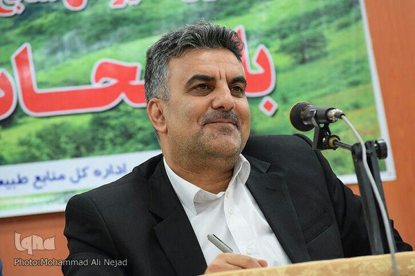 شیرزاد نجفی، مدیرکل منابع طبیعی و آبخیزداری لرستان