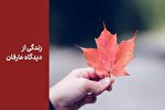 واکاوی مفهوم حیات طیبه قرآنی