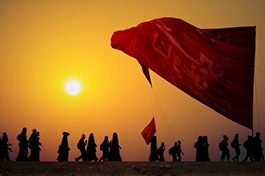 استوری موشن | مقام شفاعت زائر کربلا