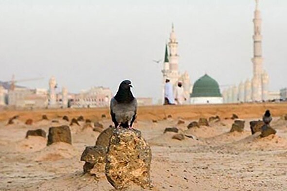 پادکست |  تاثیر دعای حضرت زهرا(س)