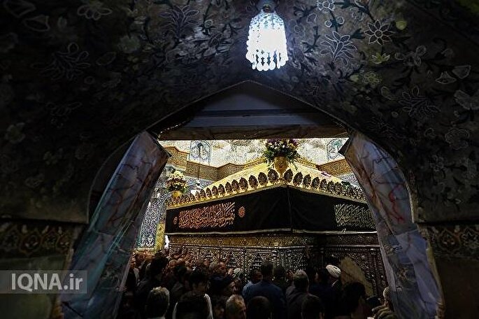 عکس | حرم بانوی کرامت در سالروز شهادت امام علی(ع)