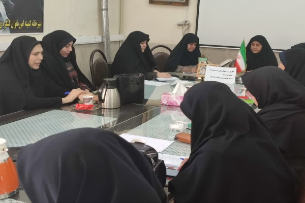 جلسه بررسی معضل تک فرزندی