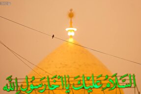 استوری‌موشن | شاهِ مقتدا
