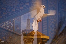 نمایشگاه آثار تجسمی جشنواره فرهنگی و هنری امام رضا (ع)