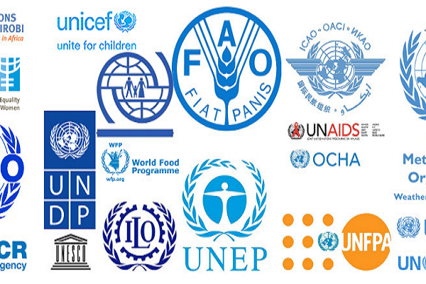 سازمان‌های بین‌المللی اختیار محکوم کردن رژیم صهیونیستی را ندارند