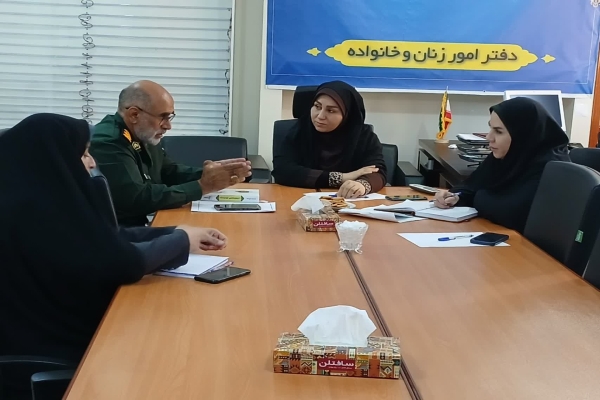 کارگروه شورای راهبردی زنان دفاع مقدس