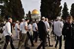 تعدد یورش شهرک‌نشینان صهیونیست به مسجدالاقصی در ماه گذشته