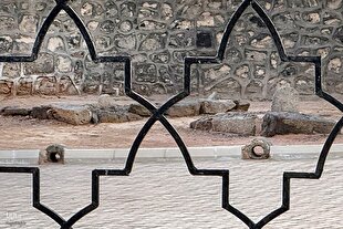 عزاداری دانشجویان عمره‌گزار برای حضرت مادر در غربت بقیع