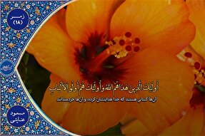 فیلم | فرازی از تلاوت «مسعود عنایتی‌مقدم»