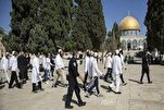 Une nouvelle incursion de colons dans la mosquée Al-Aqsa