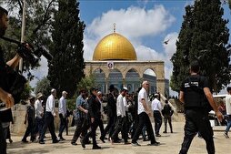 Alerte palestinienne face à une nouvelle provocation à la mosquée Al-Aqsa