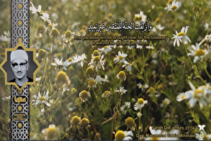 Bacaan kekal "Al-Minshawi" dari Surah Qaf