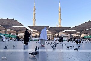Suasana Masjid Nabawi (SAW) semasa musim haji