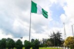 尼日利亚恐怖袭击造成30名平民丧生