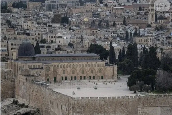 مسجد 